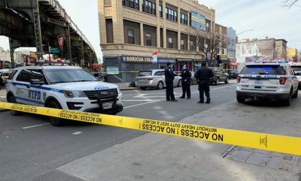 NYC woman killed after being hit by a car