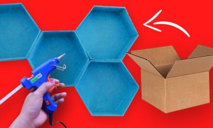 How Hexagon Cardboard Boxes has Changed Packaging Standards?