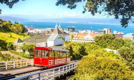 Interesting Places to Visit in Wellington In 2022 In This Lovely City!