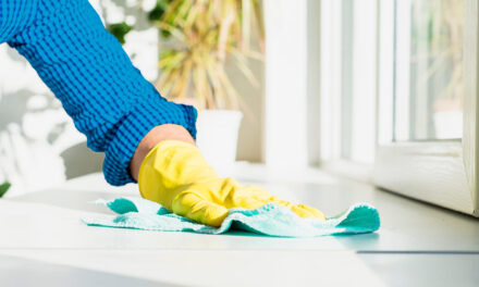 Setting Up a Cleaning Company