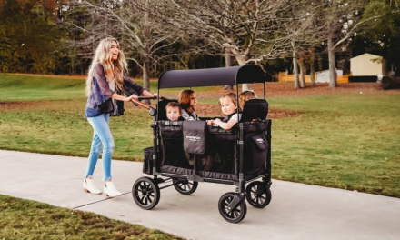 Wonderfold Stroller Wagon: The Best Gift For Kids 