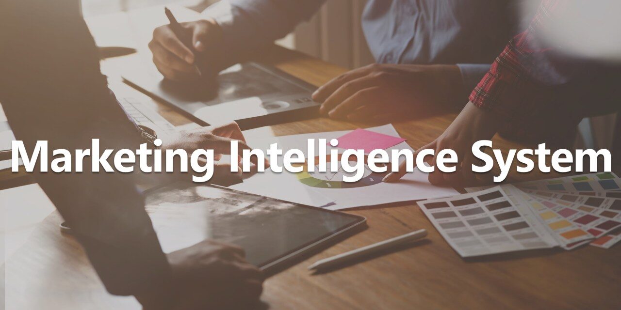 Reasons Why Marketing Intelligence is Vital For Your Business