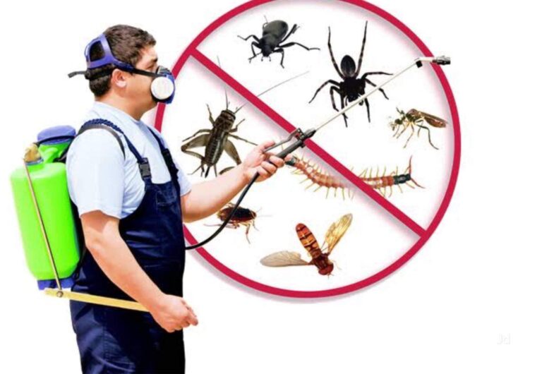 Unraveling the Secrets of Effective Pest Control Services Safeguarding Your Haven
